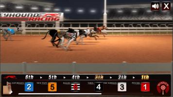 Greyhound Dog Racing Simulator capture d'écran 2