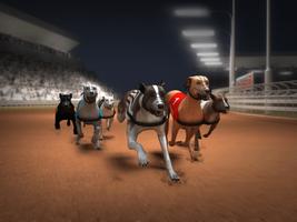 Greyhound Dog Racing Simulator capture d'écran 3