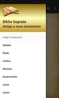 Bíblia Sagrada Grátis e Off line স্ক্রিনশট 2
