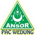 PAC Ansor Wedung