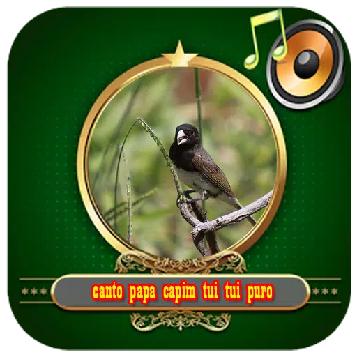 Descarga de APK de Canto Papa Capim Tui Tui Puro para Android