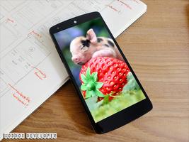 Fruits And Berries Wallpapers ภาพหน้าจอ 1