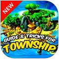 Guide for Township 2017