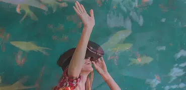 Lettore multimediale VR