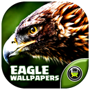 Eagle Wallpapers ( OFFLINE ) APK
