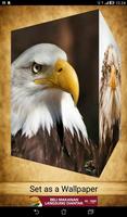 Eagle Wallpapers ( OFFLINE ) 截图 3