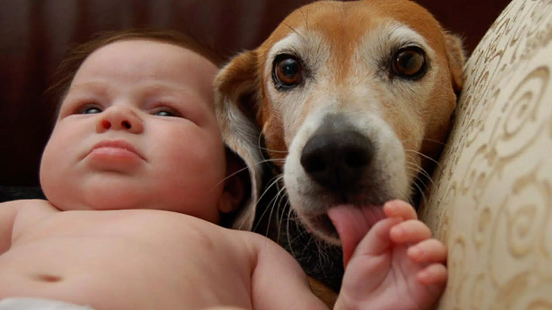 Cute Baby Funny Video APK for Android Download Cute Baby Funny Video APK for Android Download