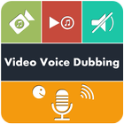 Video Voice Dubbing ícone