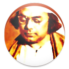 Icona Rebel Poet Nazrul