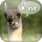 Ola ke ase Deluxe icon