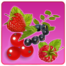 Sweet Berry Crush APK