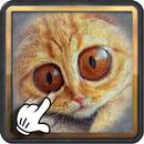 TWISTED FACE Deform (Free) APK