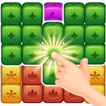 Fruits Block Pop - Splash Puzzle Legend