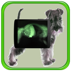 Animal x ray Scanner Prank icon