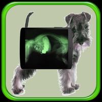 Animal x ray Scanner Prank Ekran Görüntüsü 1