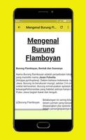 Kicau Pikat Burung Flamboyan Affiche