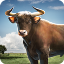 Bull Simulator 3D-APK