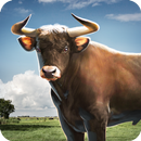 Mô Phỏng Bò Đực 3D APK