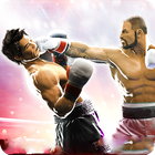 Karate Punch Boxing Warrior biểu tượng