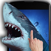 Shark Attack Live Wallpaper