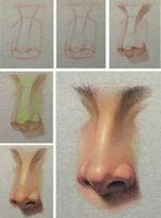 Nose Drawing Tutorials capture d'écran 1