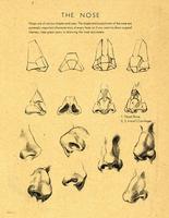 Nose Drawing Tutorials imagem de tela 3