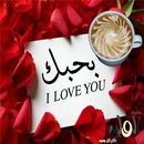 Love Story Of Islamic aplikacja