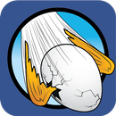 Flick Egg - Flap this bird APK