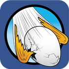 Flick Egg - Flap this bird icon