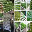 Hydroponics Design 2018