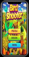 Bird Shooter Cartaz