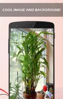 Bamboo Plant Design Ideas Plakat