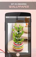 Bamboo Plant Design Ideas Screenshot 1