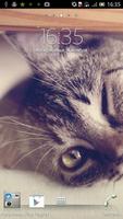 Kitty Live Wallpaper Cartaz