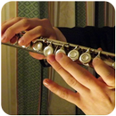 Flute Sound Mp3 APK
