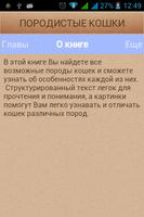 Породистые кошки syot layar 1