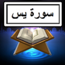 यासीन ऑडियो + पाठ APK