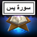 Yaseen Audio + Text APK