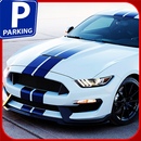 Valley Parking : Car Parking 3D APK