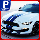 Valley Parking : Car Parking 3D icône