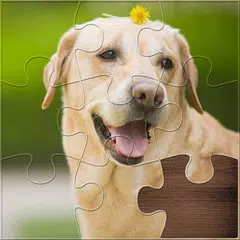 Life Jigsaw Puzzles APK download