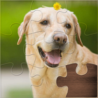 Life Jigsaw Puzzles icon