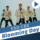 APK Blooming Day - EXO-CBX