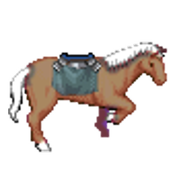 Horse Race icon