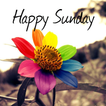 Happy Sunday SMS Messages