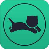 FastcatVPN APK