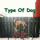 Type Of Dog APK