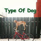 Type Of Dog icône