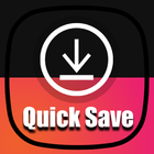 Quick Save - Video Downloader for Instagram icône