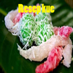 Resep Kue Tradisional New